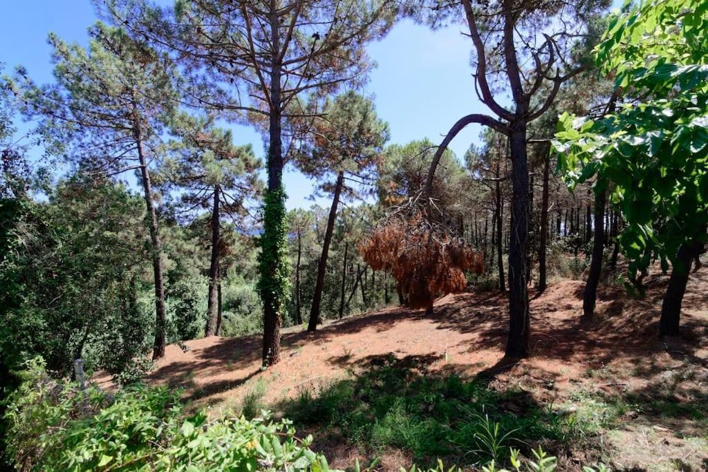 Cl11 Townhouse With Sea Views Hébergement de vacances *
